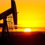 IEA紧急行动启动 释放4亿桶储备原油