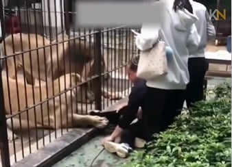 e79c8be4b896e7958ce68a95e59682e78baee5ad90e6838ae9ad82-e5a5b3e7aba5e999a9e981ade689afe585a5e7acbc