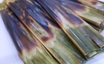 使用订书机来包装食物 最高可判坐牢罚10万