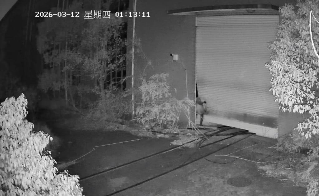 e8a786e9a291-e68bbce79b98e6b996e58d97e5b08fe581b7e6bd9ce585a5e5b7a5e58e82e5bf83e8999a-e590ace58784e58e89e9acbce7ac91e5a3b0e680a5-1