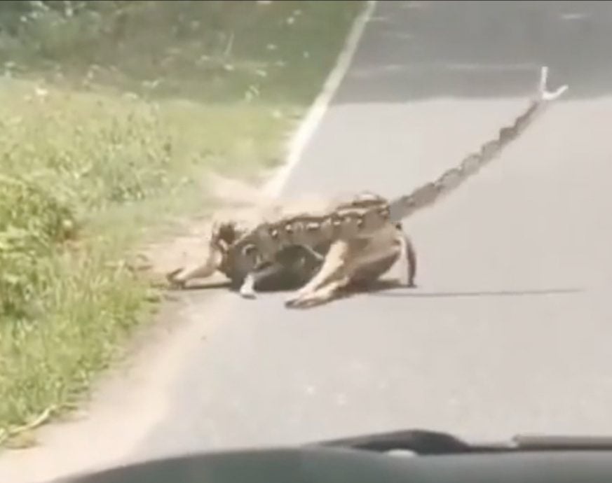 e8a786e9a291e585ace8b7afe6838ae7