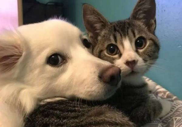 ed421cb25b794c9b82c657dc62c76663