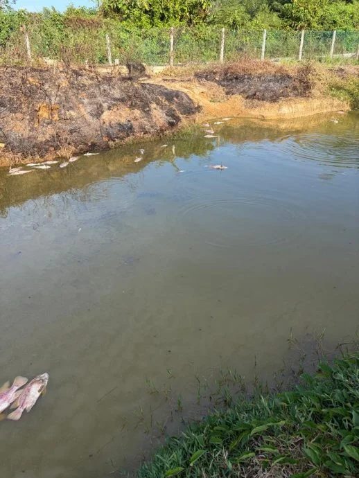 efbc88e585a8e59bbde78988efbc89e58c97e9a9ace9ab98e6b8a9efbc9ae5b7b4e4b89ce5be97e8858ae58ebfe58685e9b1bce5a198-e980be300e69da1e9b1bc-1