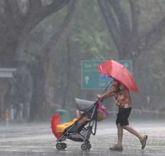 efbc88e5b7b2e7adbee58f91efbc89e69f94efbc9ae78baee59f8ee4ba8ce4b889e4ba8befbc9ae68ea5e4b88be69da5e4b8a4e591a8-e78baee59f8ee983a8e58886