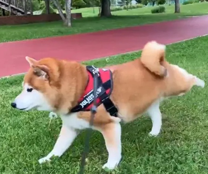 httpsdomingo.ne.jpwpwp-contentup