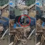 女工失足卷入碎木机 同事拉不住当场身亡