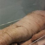 男子杀妻后做成干尸 每日伴尸共处1277天