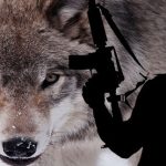 中东战火升级各国提高警惕 东南亚需小心独狼式恐袭