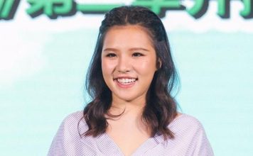 赴马办理入境手续踩雷 女星误入假网站遭诈骗