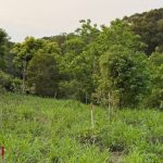 地点偏僻气氛诡异 男子巡山惊见神秘女尸