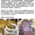 染发中外出用餐变秃发 女学生向理发师索赔546万