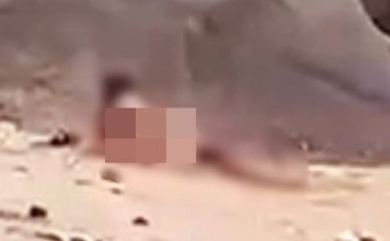 海滩惊爆活春宫 游客全裸XX声音传全场