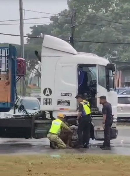 260405pfb32d_Lorry_Driver