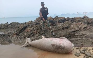 海滩出现无头“人鱼”搁浅 遗体头部竟被人割走