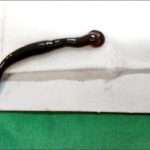 8岁男童咳嗽痰中带血入 气管竟藏8CM活水蛭