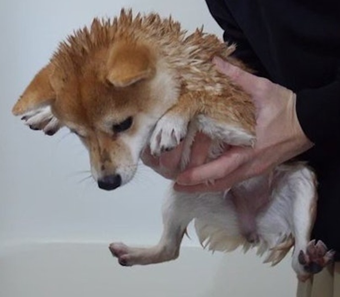 4XtyhHPioFvj648ck8JPJgXvcC0a7KaF