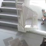 楼梯间公然脱裤大小便 男子不雅行为判罚款