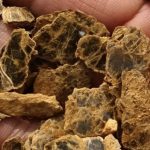 男童爬山伸手一指“有黄金” 比对后真的发现有金矿