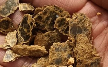 男童爬山伸手一指“有黄金” 比对后真的发现有金矿