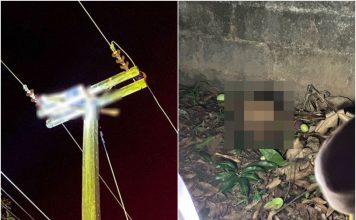 火光一闪头颅随即坠地 男子失控爬高压电塔身亡