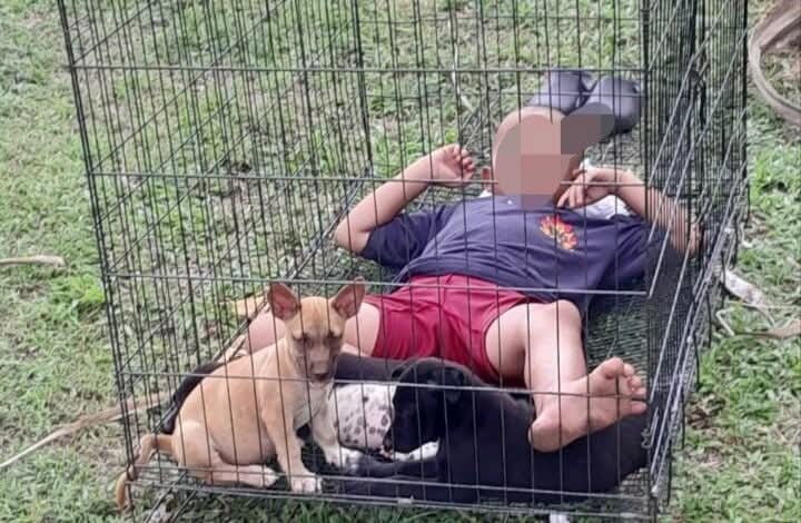 Gambar-tular-kanak-kanak-lelaki