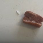 热狗被人恶意“加料” 狗狗吃后原地转圈口吐白沫