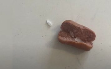 热狗被人恶意“加料” 狗狗吃后原地转圈口吐白沫