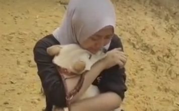 送养途中突遇罗厘追撞车祸 马来女寻回狗后紧抱痛哭