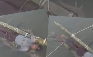 爸妈找法师绑竹架泡河水“解毒” 男童被蛇咬12小时后亡