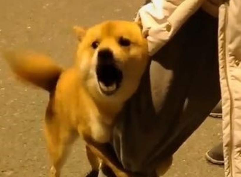 U1btqlj9Raa3yu60TTQEj8eA-276EKbZ