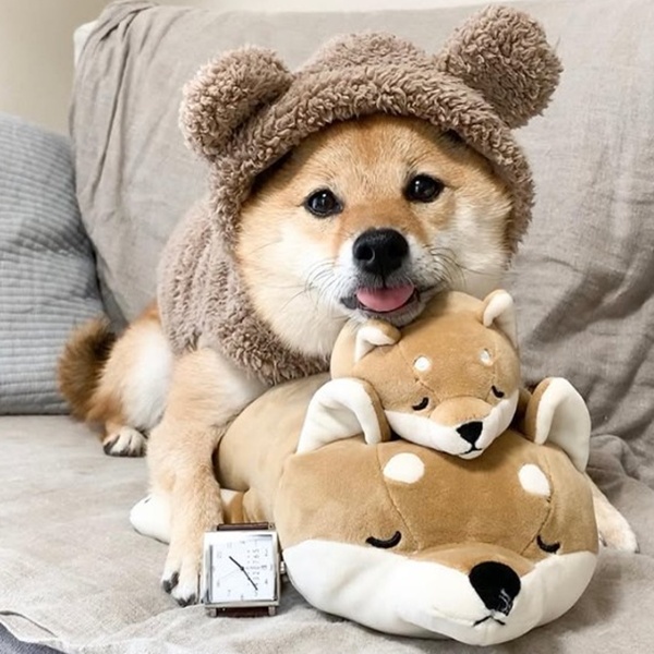 WhatsApp Image 2026-04-13 at 10.22.47 AM