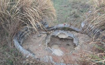 陈氏宗亲扫墓惊见被挖洞 墓龟外层疑遭到破坏