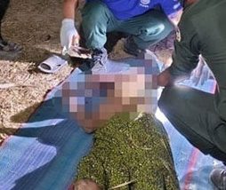 e5a6bbe5ad90e6b2a1e58786e5a487e5