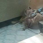 1岁半男童伤重不治 生母继父被控谋杀吸毒