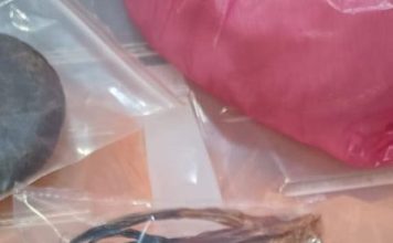 住家藏3684万动物器官 男子当场遭逮捕