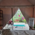 女子游印度遭下药侵犯 老板断网3天阻求救