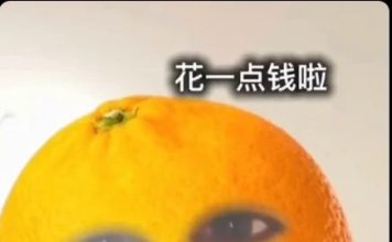 华裔网红见男租客溜入房间 对方竟用其内裤XX