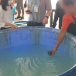 椰子工厂惊揭黑心内幕 清水加香精调出椰水