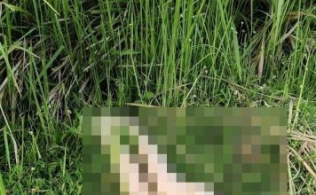 住宅区路边惊见不雅娃娃 居民担心吓坏孩子