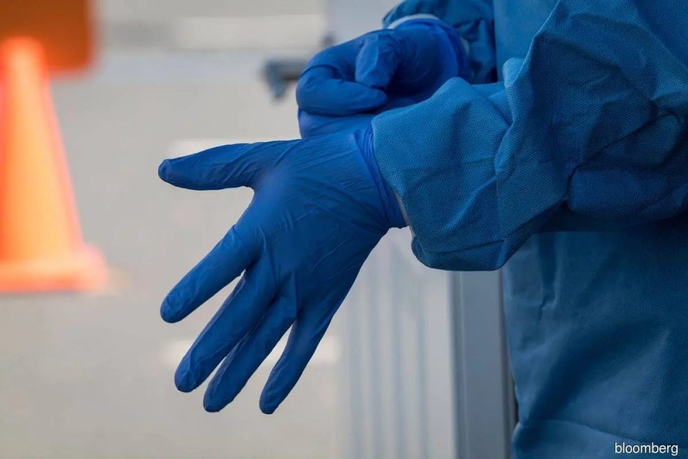 rubber-gloves-generic_20241013203523_bloomberg_2_0