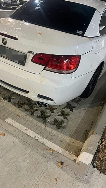 sm9-144527-park-338x600