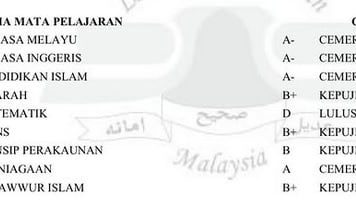 SPM考获4A4B1D后发文 女学生自责是失败的女儿