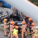 轿车猛撞分界堤大树 车体严重变形司机身亡