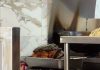炸鸡铁盘放垃圾桶上 食客午餐前看傻眼