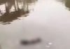 码头惊现男尸海上漂 部分遗体已腐烂