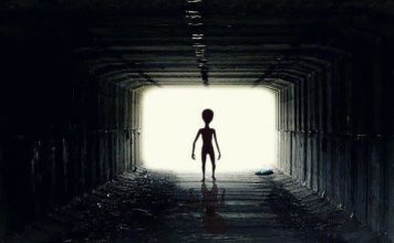 “美国曾回收4外星生命体” 物理学家语出惊人
