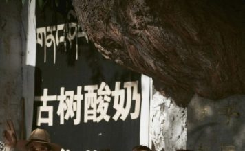 “最美继母”罕晒夫妻旅行日常 甜到像热恋期