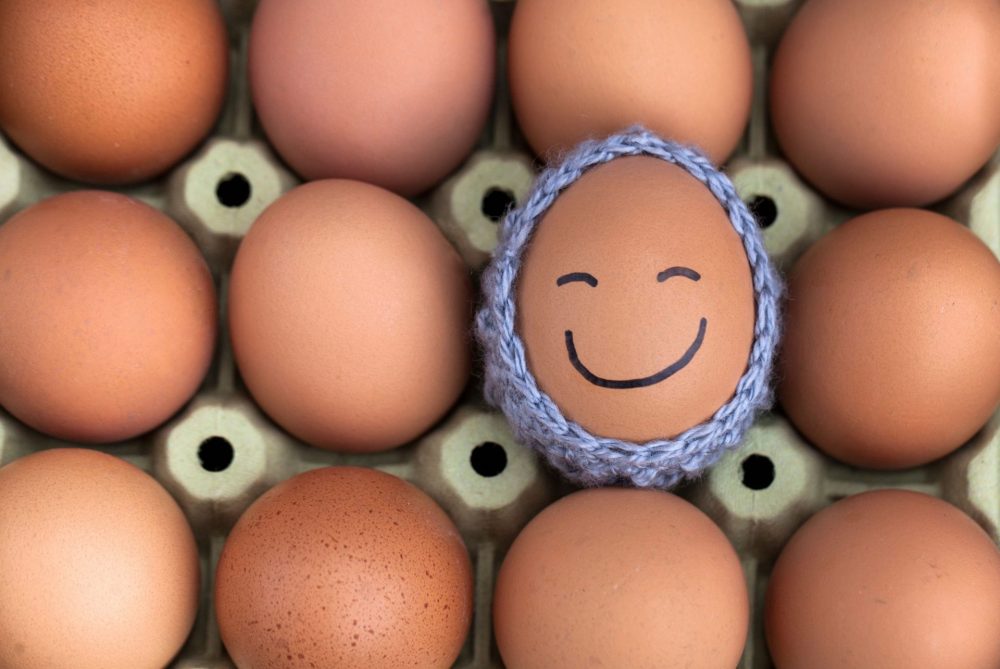 Eggs-and-Cholesterol-scaled
