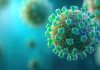 卫生部吁加强HIV防治 及早检测可降低传播风险