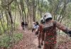 15岁少女登山突不适受困 消拯员徒步400公尺上山救援